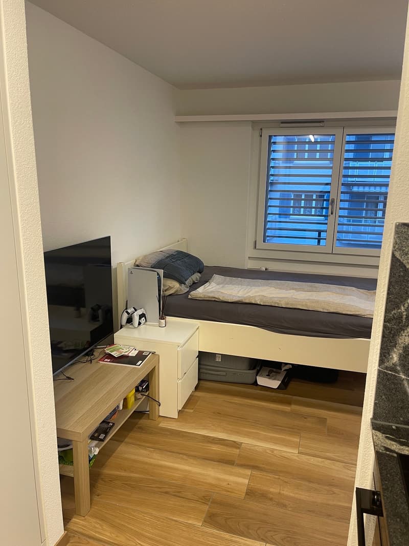 Appartement moderne 1 pièce (3)