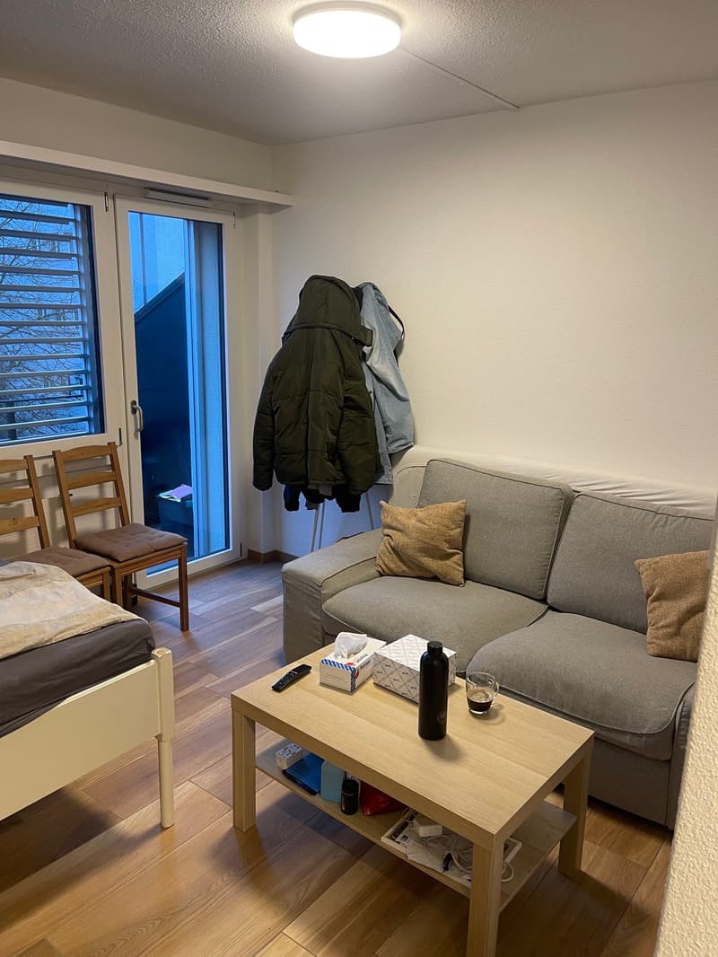 Appartement moderne 1 pièce (4)