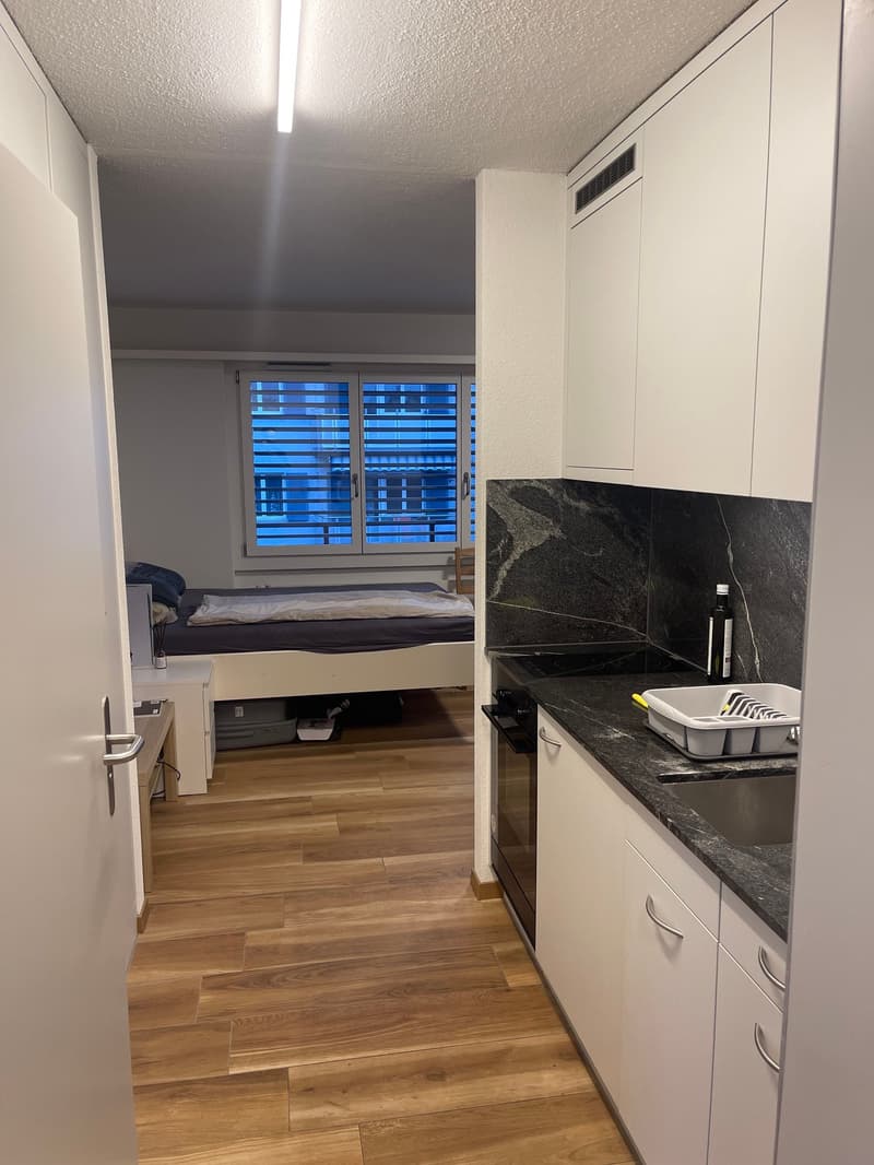 Appartement moderne 1 pièce (1)
