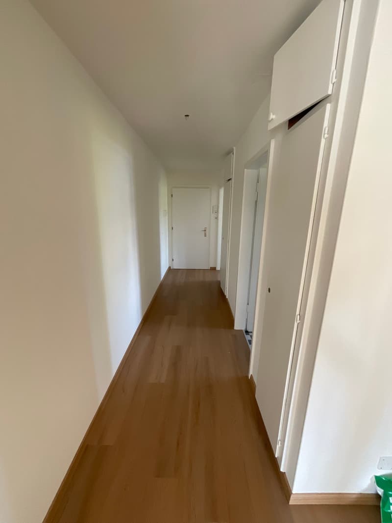 Frisch renovierte, 4- Zimmerwohnung (6)