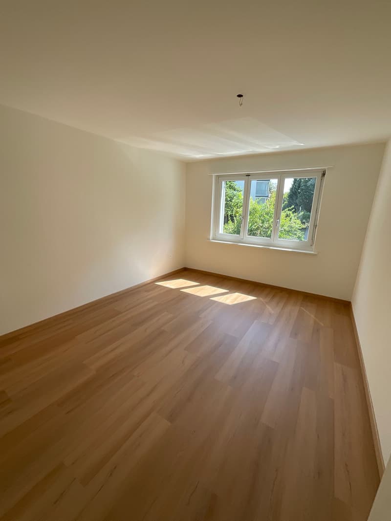 Frisch renovierte, 4- Zimmerwohnung (2)