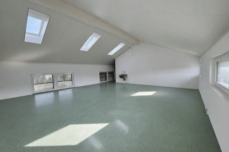 Spazio commerciale nel piano mansardato (4)
