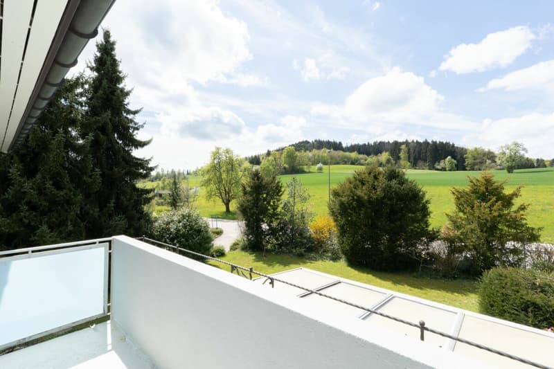 Large single-family house with surrounding area (16)