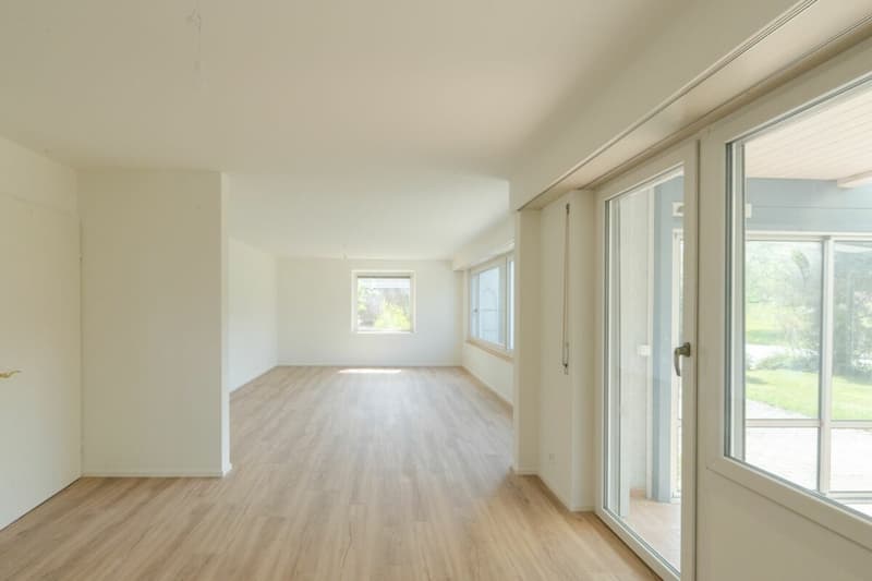 Large single-family house with surrounding area (8)