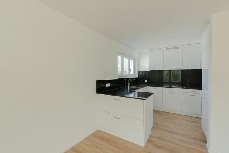 Large single-family house with surrounding area (5)
