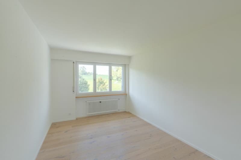 Large single-family house with surrounding area (14)
