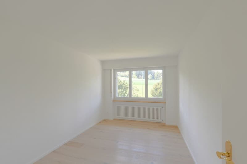 Large single-family house with surrounding area (13)
