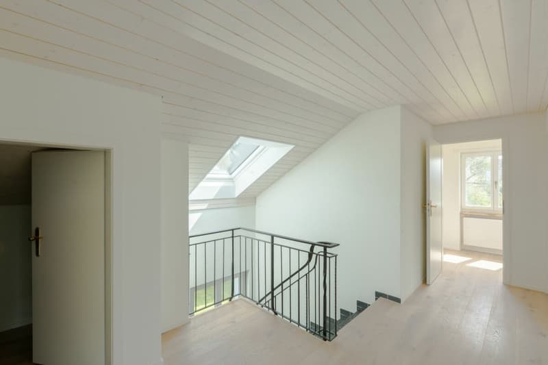 Large single-family house with surrounding area (10)