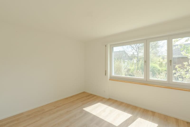 Large single-family house with surrounding area (4)