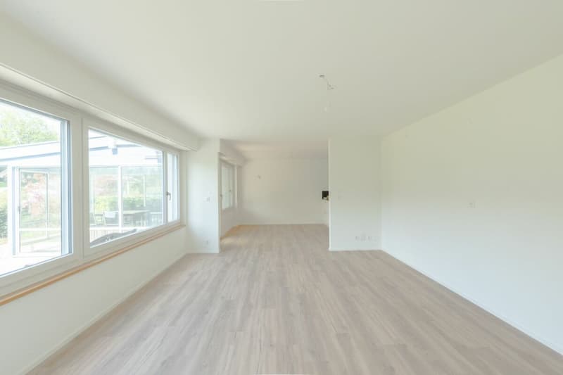 Large single-family house with surrounding area (7)