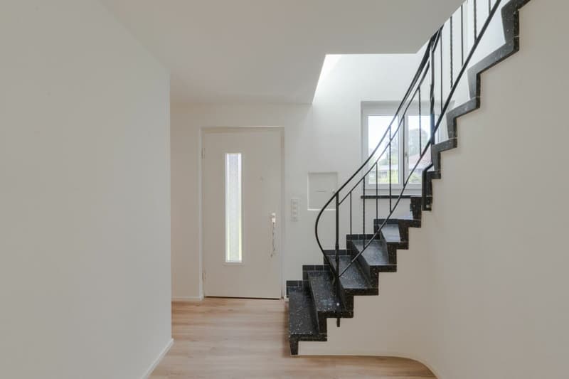 Large single-family house with surrounding area (2)