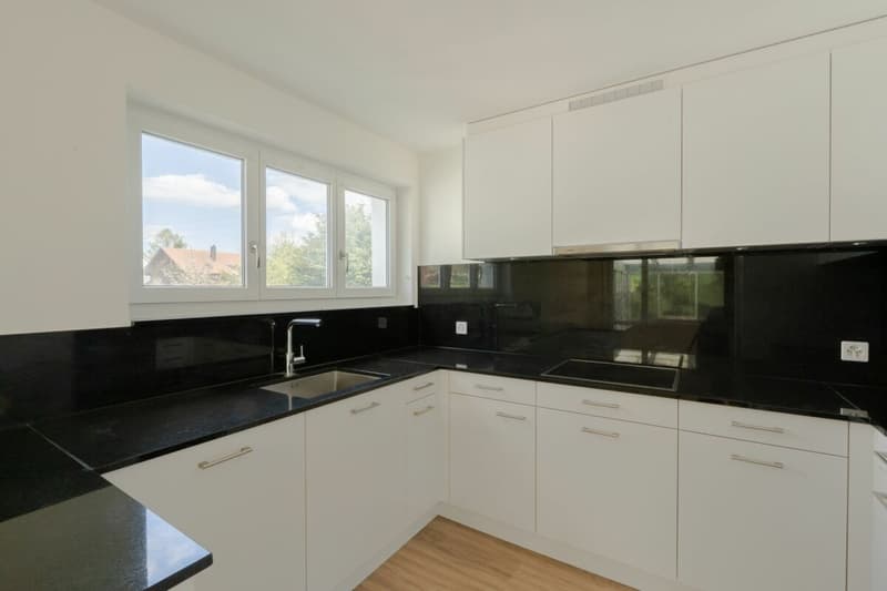 Large single-family house with surrounding area (6)