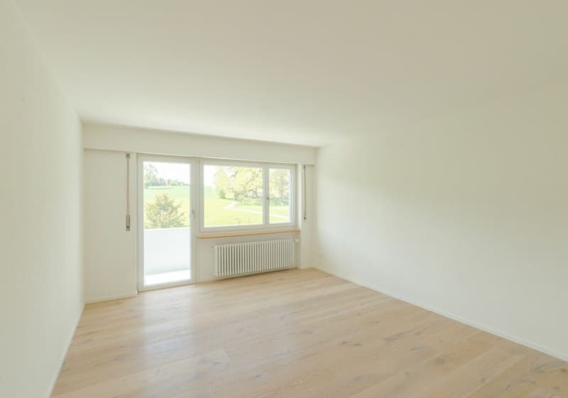 Large single-family house with surrounding area (15)