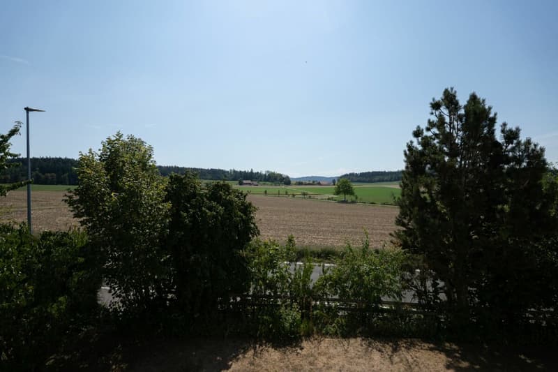 Freistehend - Familienfreundlich - Sonnig (11)