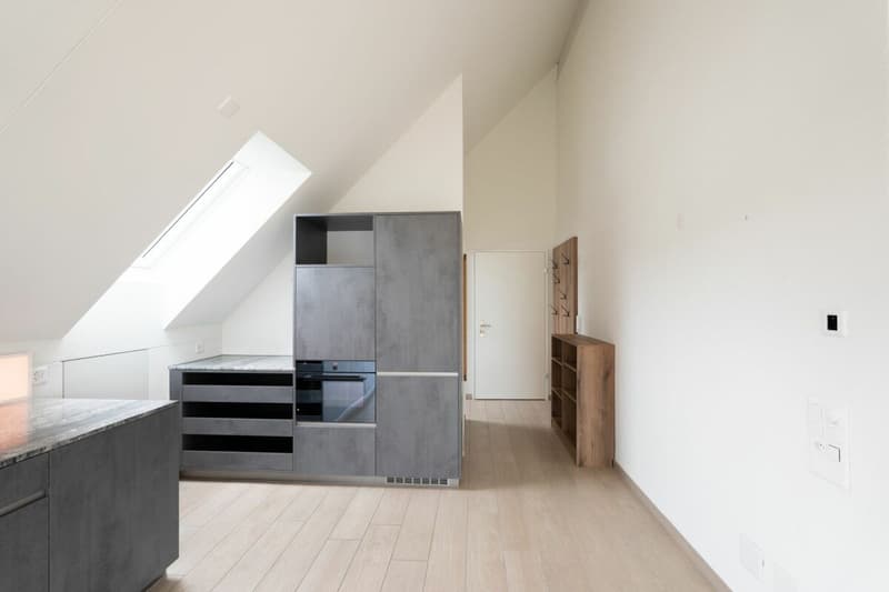 2.5-Zimmer-Dachwohnung im Loft-Style (2)