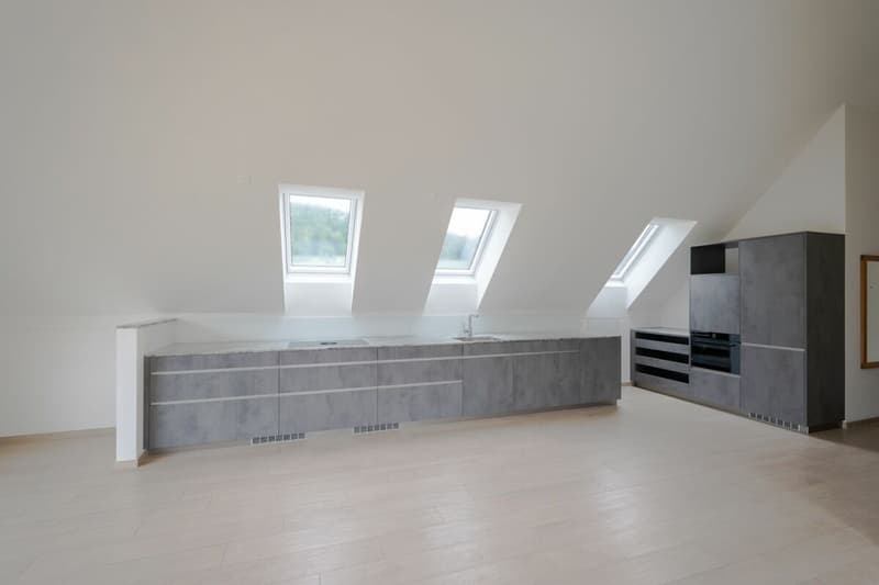 2.5-Zimmer-Dachwohnung im Loft-Style (3)