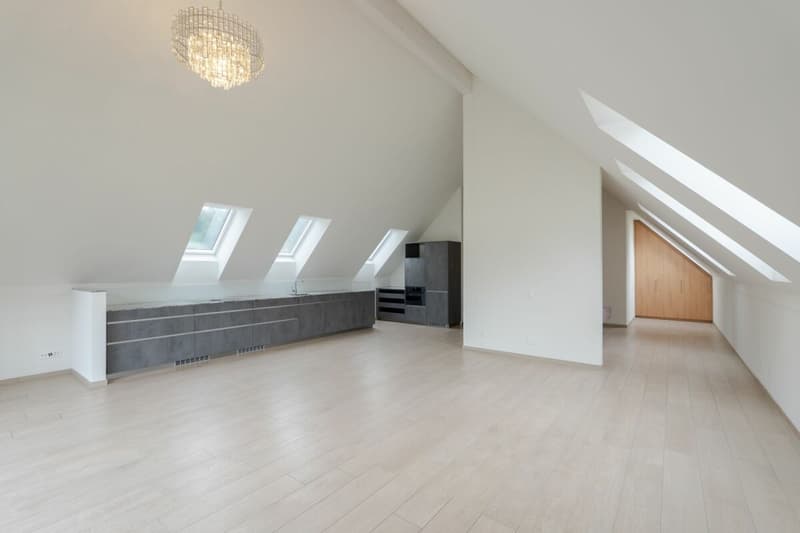 2.5-Zimmer-Dachwohnung im Loft-Style (1)