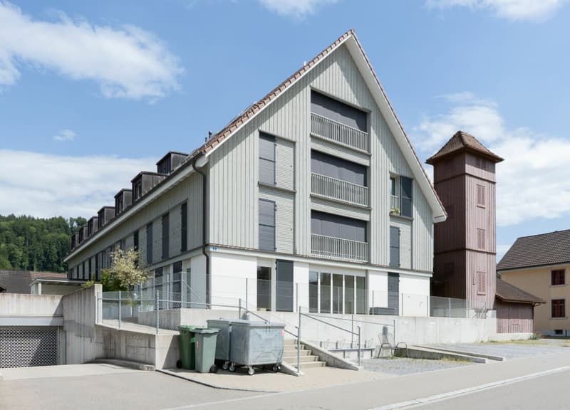 2.5-Zimmer-Dachwohnung im Loft-Style (11)