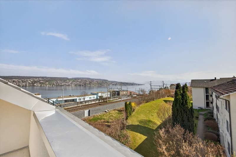 Primo affitto dopo ristrutturazione - Appartamenti moderni 2.5 locali con vista lago! (3)