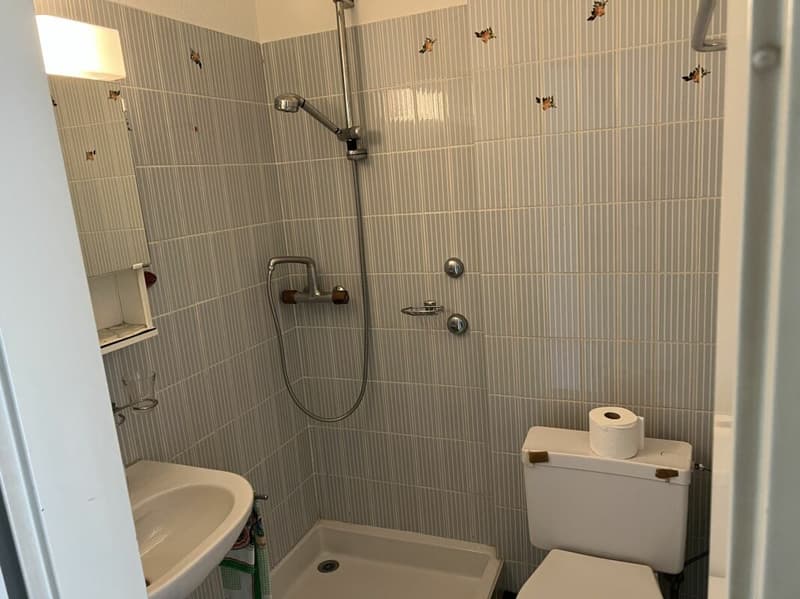 Monolocale con bagno - limitato fino al 30.09.2026 (4)