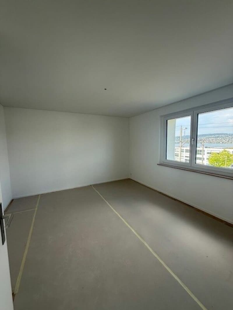 Gli ultimi appartamenti dopo la ristrutturazione totale - Appartamenti moderni 2.5 locali con vista sul lago! (5)