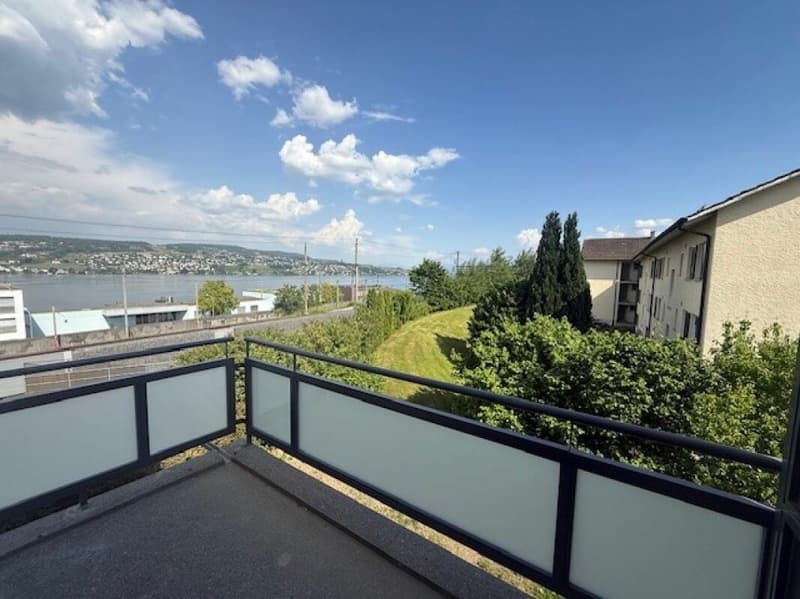 Gli ultimi appartamenti dopo la ristrutturazione totale - Appartamenti moderni 2.5 locali con vista sul lago! (7)