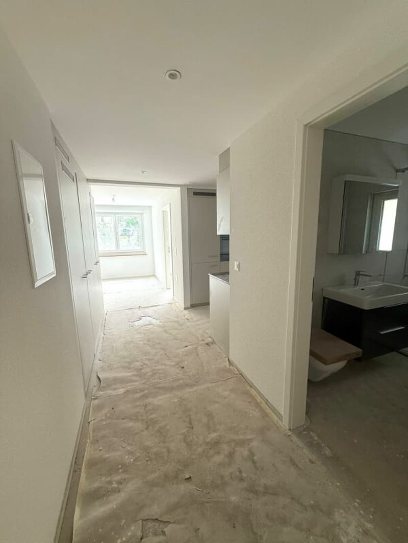 Gli ultimi appartamenti dopo la ristrutturazione totale - Appartamenti moderni 2.5 locali con vista sul lago! (3)