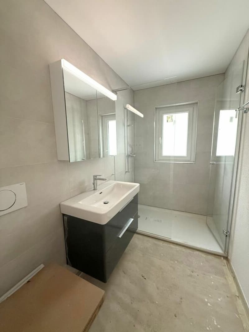 Gli ultimi appartamenti dopo la ristrutturazione totale - Appartamenti moderni 2.5 locali con vista sul lago! (6)