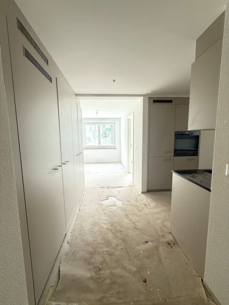 Gli ultimi appartamenti dopo la ristrutturazione totale - Appartamenti moderni 2.5 locali con vista sul lago! (4)