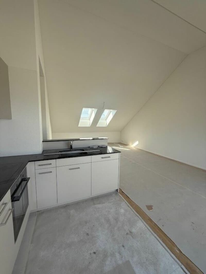 Traumhafte 2.5-Zimmer-Attika-Wohnungen mit Seesicht! (2)