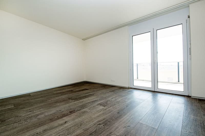 Appartamento unico con terrazza da sogno! (4)