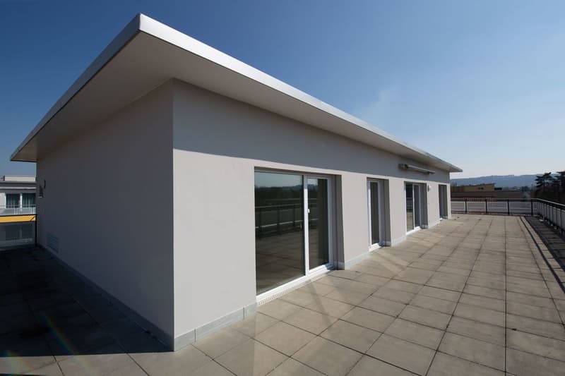 Appartamento unico con terrazza da sogno! (7)