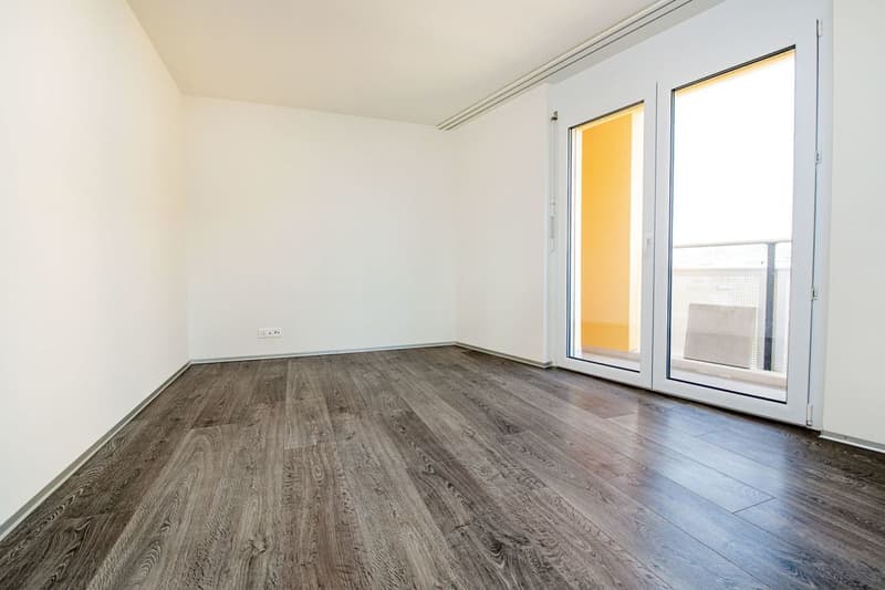 Appartamento unico con terrazza da sogno! (3)