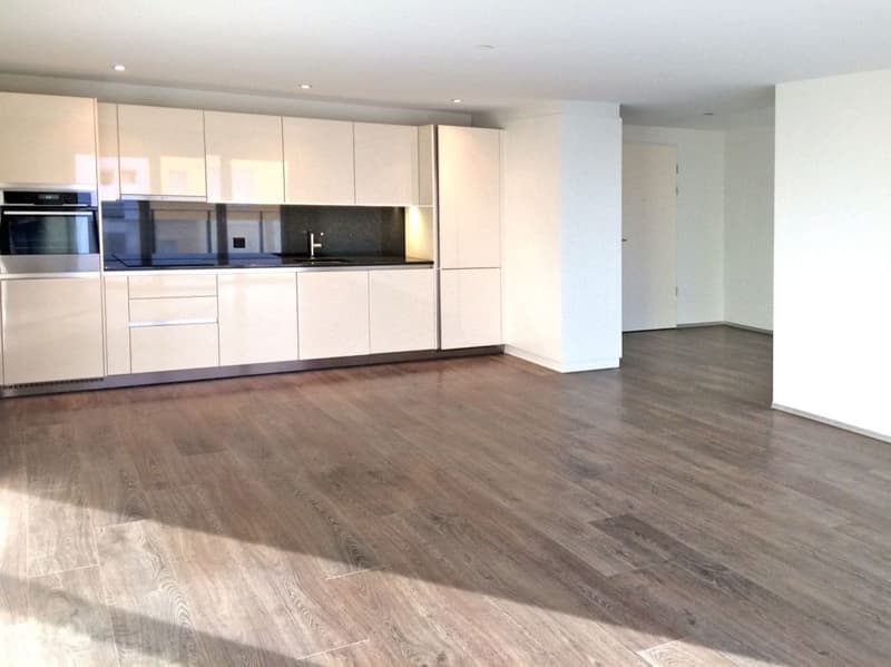 Modern, bright apartment - large terrace with evening sun! (2)