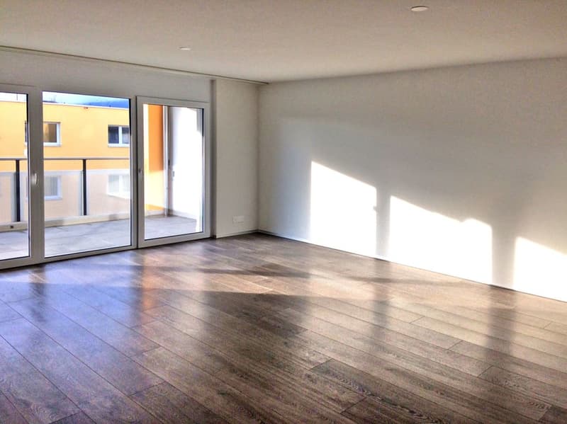 Modern, bright apartment - large terrace with evening sun! (3)
