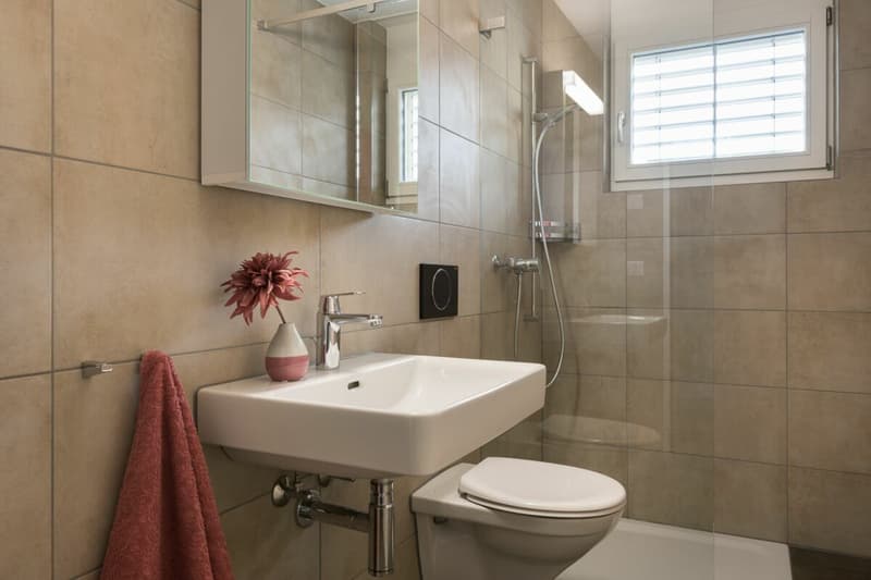 Moderne Dachwohnung mit Neubaucharakter (5)