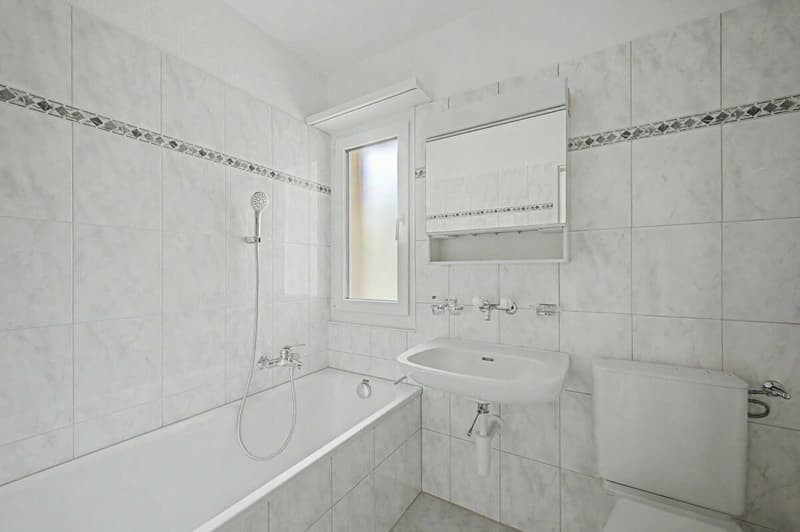 Appartement lumineux et spacieux de 3,5 pièces (8)