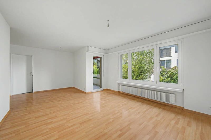 Appartement lumineux et spacieux de 3,5 pièces (3)