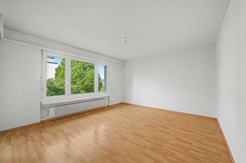 Appartement lumineux et spacieux de 3,5 pièces (2)