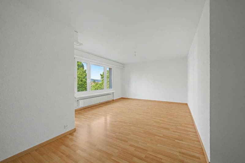 Appartement lumineux et spacieux de 3,5 pièces (1)