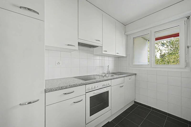 Appartement lumineux et spacieux de 3,5 pièces (4)