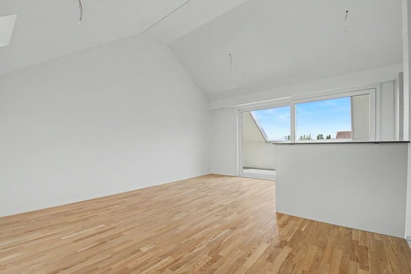 Traumhafte 2.5-Zimmer-Attika-Wohnungen mit Seesicht! (4)