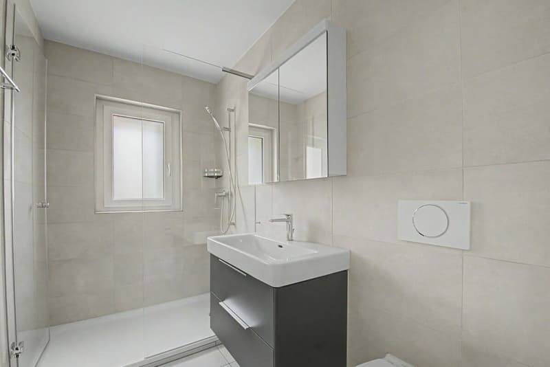 The last apartments after total renovation - Modern 2.5-room apartments with lake view! (6)