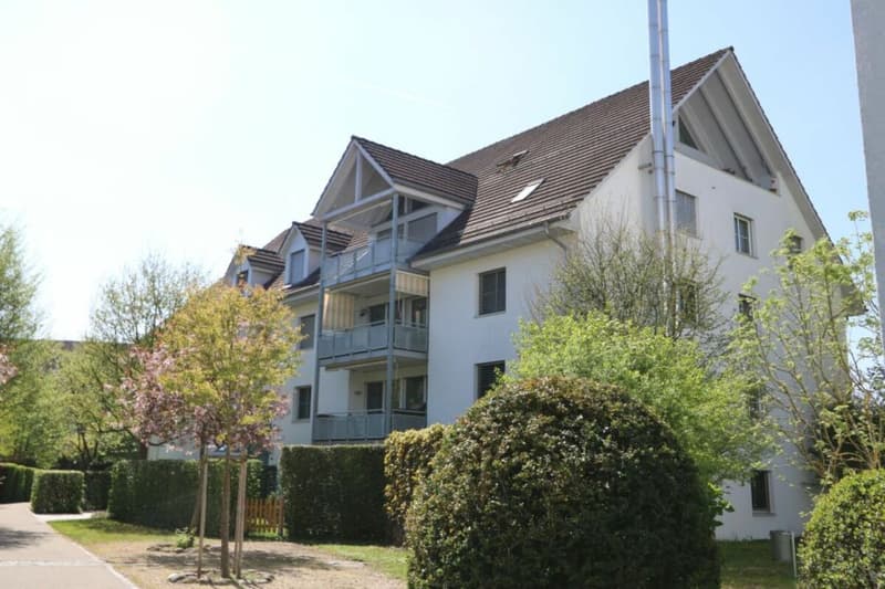 Spacious, modern apartment in a park-like environment (1)