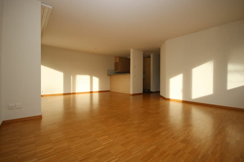 Spacious, modern apartment in a park-like environment (6)