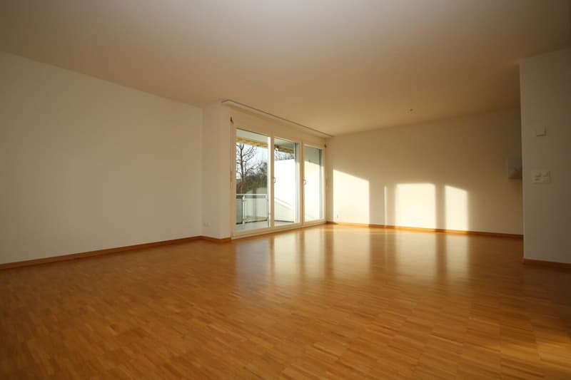 Spacious, modern apartment in a park-like environment (4)
