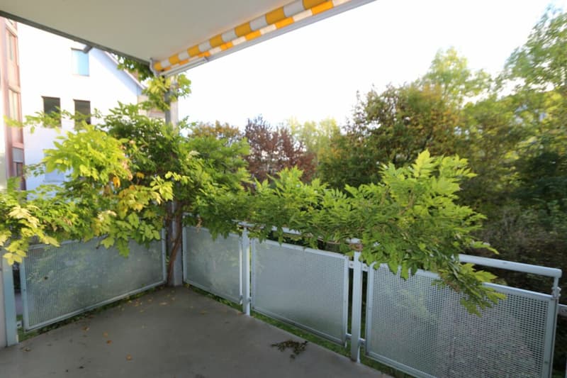 Spacious, modern apartment in a park-like environment (3)