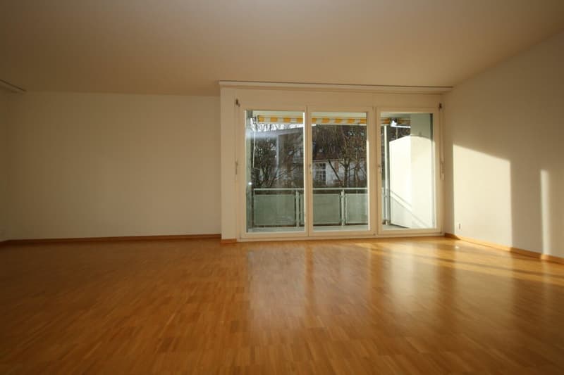 Spacious, modern apartment in a park-like environment (5)
