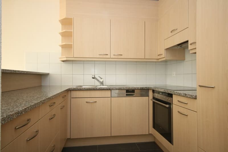 Spacious, modern apartment in a park-like environment (7)