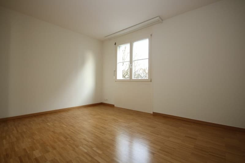 Spacious, modern apartment in a park-like environment (9)